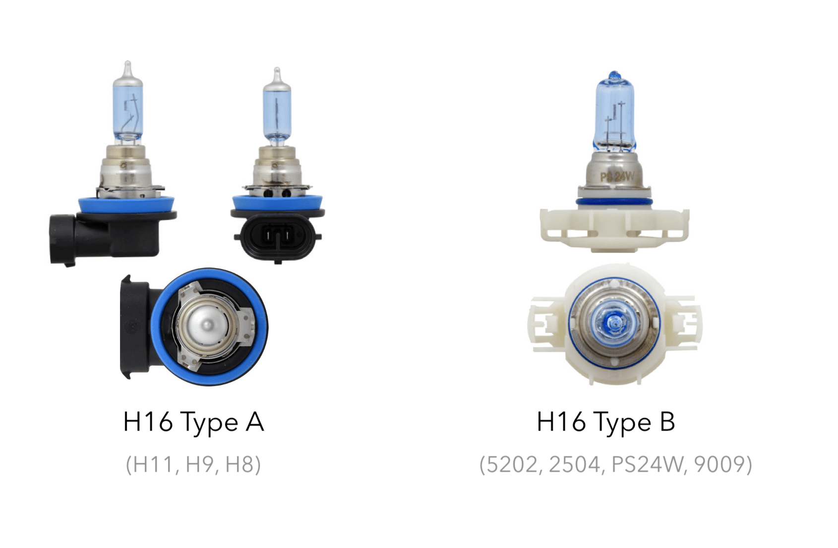 H16 Type A (H11) vs H16 Type B (5202)